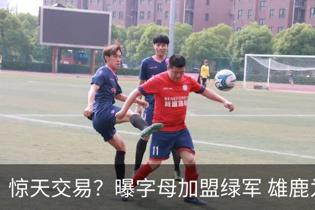 惊天交易？曝字母加盟绿军 雄鹿为布朗寻找第三方